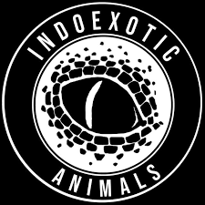 Indoexotic Animals