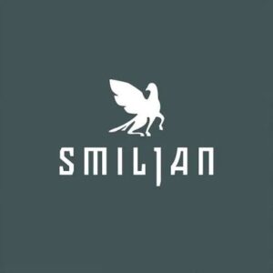 Smiljan Space